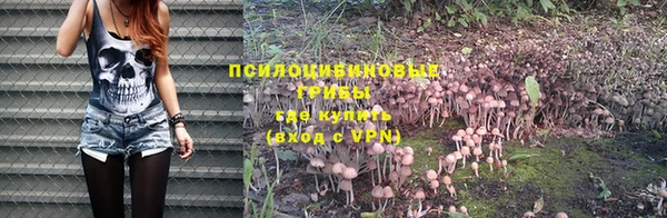 каннабис Алексеевка