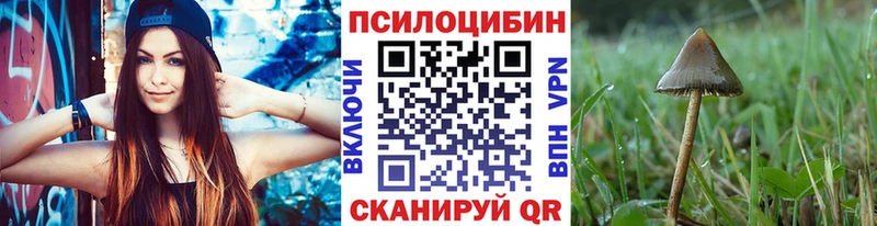 сайты даркнета как зайти  Катайск  Галлюциногенные грибы мухоморы 